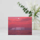 Carte Postale Antarctique (Debout devant)