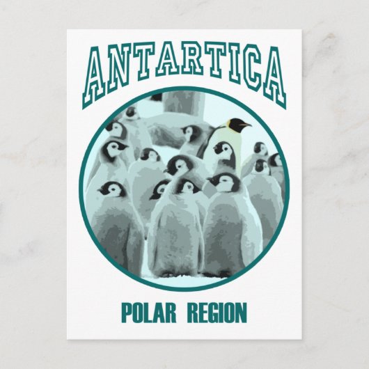 Carte Postale Antarctique (Devant)