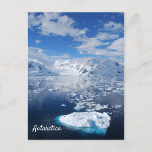 Carte postale Antarctique