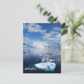 Carte postale Antarctique (Debout devant)
