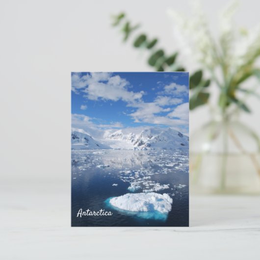 Carte postale Antarctique (Debout devant)