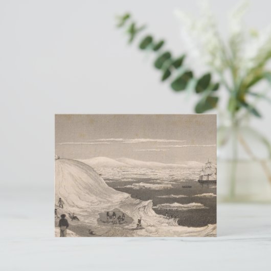 Carte Postale Antarctique 2 (Debout devant)