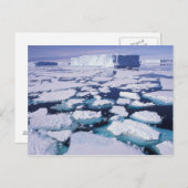 Carte Postale Antarctique, débit de glace. (Devant / Derrière)