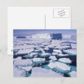 Carte Postale Antarctique, Écoulement de glace. (Devant / Derrière)
