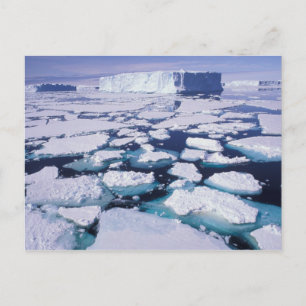 Carte Postale Antarctique, Écoulement de glace.