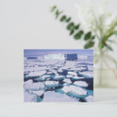 Carte Postale Antarctique, Écoulement de glace. (Debout devant)