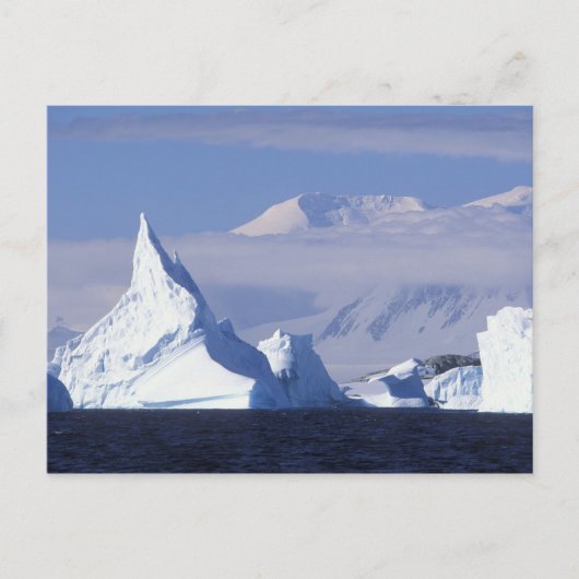Carte Postale Antarctique, île Boothe, soleil de l'après-midi (Devant)