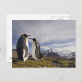 Carte Postale Antarctique, île de Géorgie du Sud (Royaume-Uni), (Devant / Derrière)