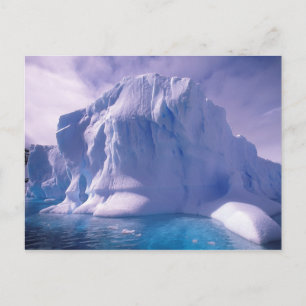 Carte Postale Antarctique. Paysages glaciaires de l'Antarctique