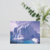 Carte Postale Antarctique. Sauvages de glace antarctique (Debout devant)