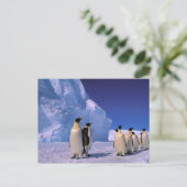 Carte Postale Antarctique, territoire australien antarctique, 7 (Debout devant)