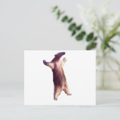 Carte Postale Anteater (Debout devant)