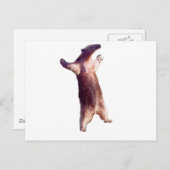 Carte Postale Anteater (Devant / Derrière)