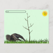 Carte postale Anteater géant (Dos)