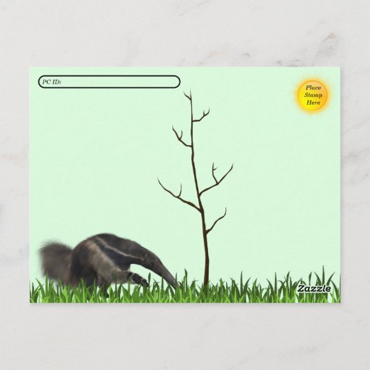 Carte postale Anteater géant (Dos)