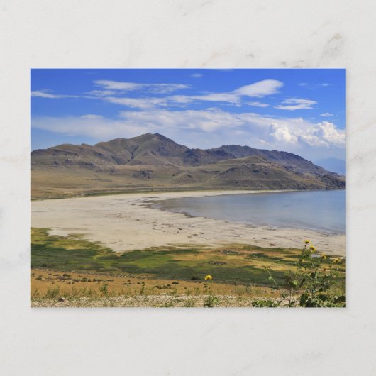 Carte Postale Antelope Island State Park, Great Salt Lake, (Devant)