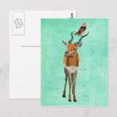 Carte postale ANTELOPE & OWL (Devant / Derrière)