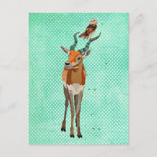 Carte postale ANTELOPE & OWL (Devant)