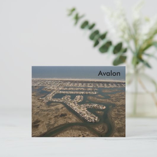 Carte Postale Antenne d'Avalon (Debout devant)