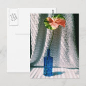 Carte Postale anthium et nature morte à la bouteille bleue (Devant / Derrière)