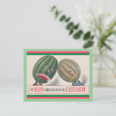 CARTE POSTALE ANTHROPOMORPHIQUE Melons Pun (Debout devant)