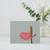 Carte Postale Anthurium (Debout devant)