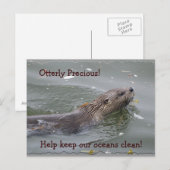 Carte postale anti-pollution de la loutre de mer (Devant / Derrière)