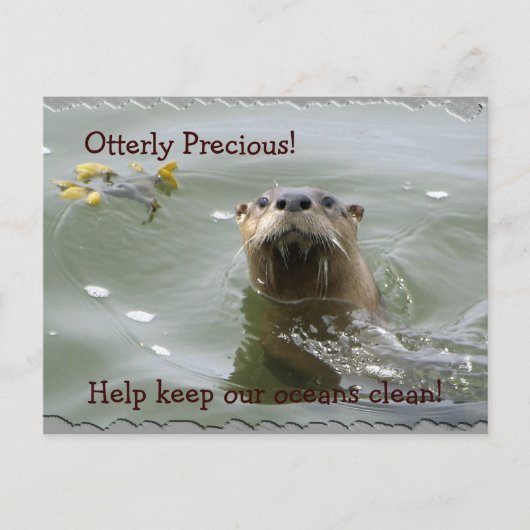 Carte postale anti-pollution Sea Otter (Devant)