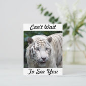 Carte Postale Anticipation (Debout devant)