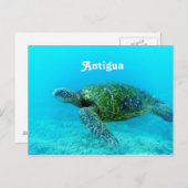 Carte Postale Antigua Hawk Tortue Billed Turtle (Devant / Derrière)