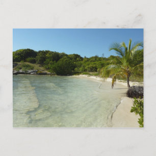 Carte Postale Antiguan Beach Beautiful Tropical Landscape