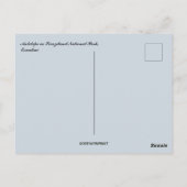 Carte Postale Antilope dans le parc national de Swaziland Eswati (Dos)