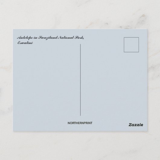 Carte Postale Antilope dans le parc national de Swaziland Eswati (Dos)