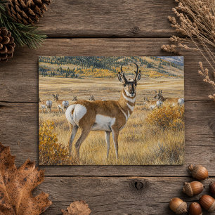 Carte Postale Antilope Pronghorn du Dakota du Sud Faune Nature
