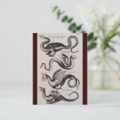 Carte Postale Antique 18ème siècle Dragon Engraving (Debout devant)