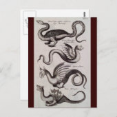 Carte Postale Antique 18ème siècle Dragon Engraving (Devant / Derrière)