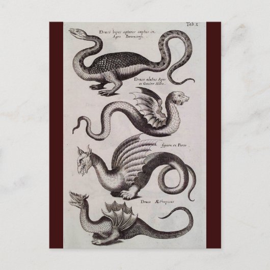 Carte Postale Antique 18ème siècle Dragon Engraving (Devant)