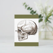 Carte Postale Antique Anatomie Crâne anatomique (Debout devant)