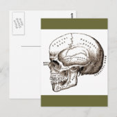 Carte Postale Antique Anatomie Crâne anatomique (Devant / Derrière)