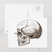 Carte Postale Antique Anatomie Crâne anatomique (Devant / Derrière)