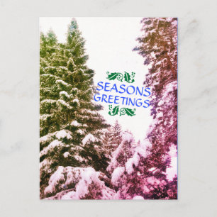 CARTE POSTALE ANTIQUE ARBRES Joyeuses Fêtes