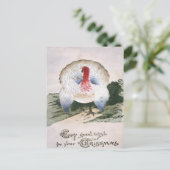 Carte Postale Antique Christmas Turkey (Debout devant)