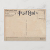 Carte postale antique d'esturgeon blanc-Gyotaku (Dos)