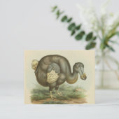 Carte postale Antique Dodo Bird Histoire naturelle (Debout devant)