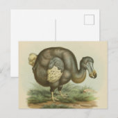 Carte postale Antique Dodo Bird Histoire naturelle (Devant / Derrière)