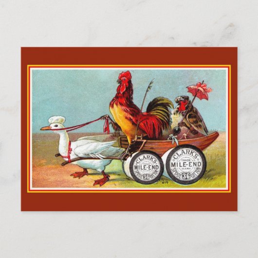 Carte Postale Antique drôle poulets canard coton spool (Devant)