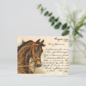 Carte postale Antique Horse Head (Debout devant)