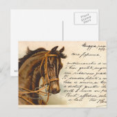 Carte postale Antique Horse Head (Devant / Derrière)