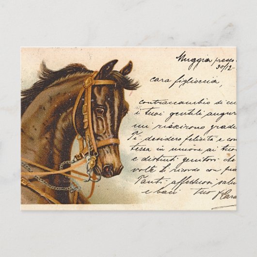 Carte postale Antique Horse Head (Devant)