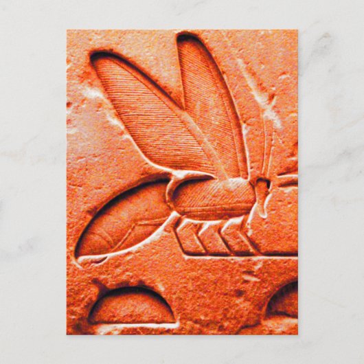CARTE POSTALE ANTIQUE ROUGE EGYPTIEN HONEY BEE BEEKEEPER (Devant)